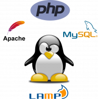 Install Linux, Apache, MySQL and PHP (LAMP) on Ubuntu 24.04 | articles ...